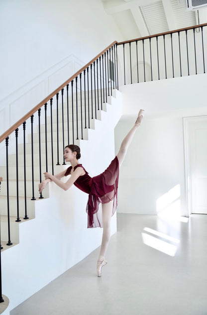 Garnet Leotard [Ode on Tutu]