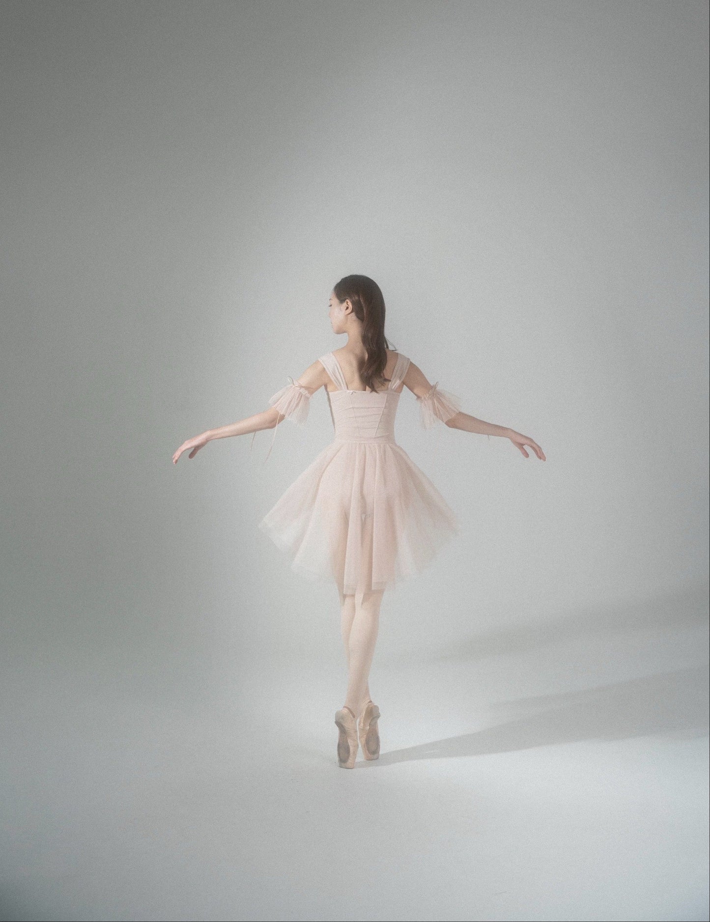 Sylfiden Skirt [Ode on Tutu]