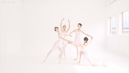 ヘレナ レオタード [チュチュの歌]