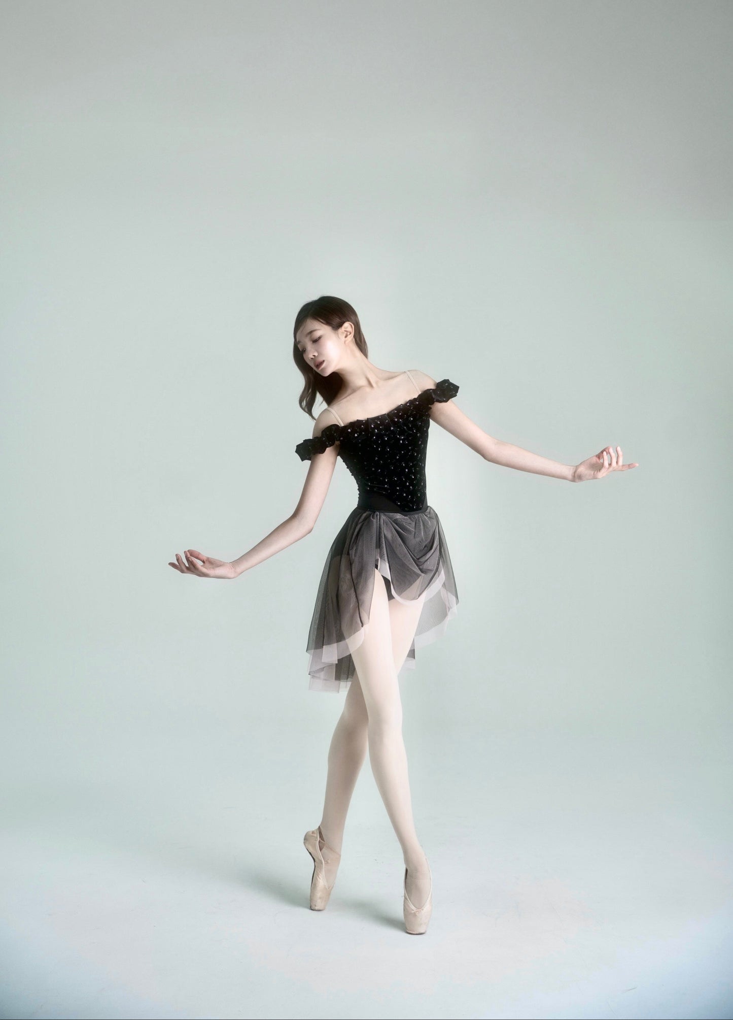 Mary Skirt [Ode on Tutu]