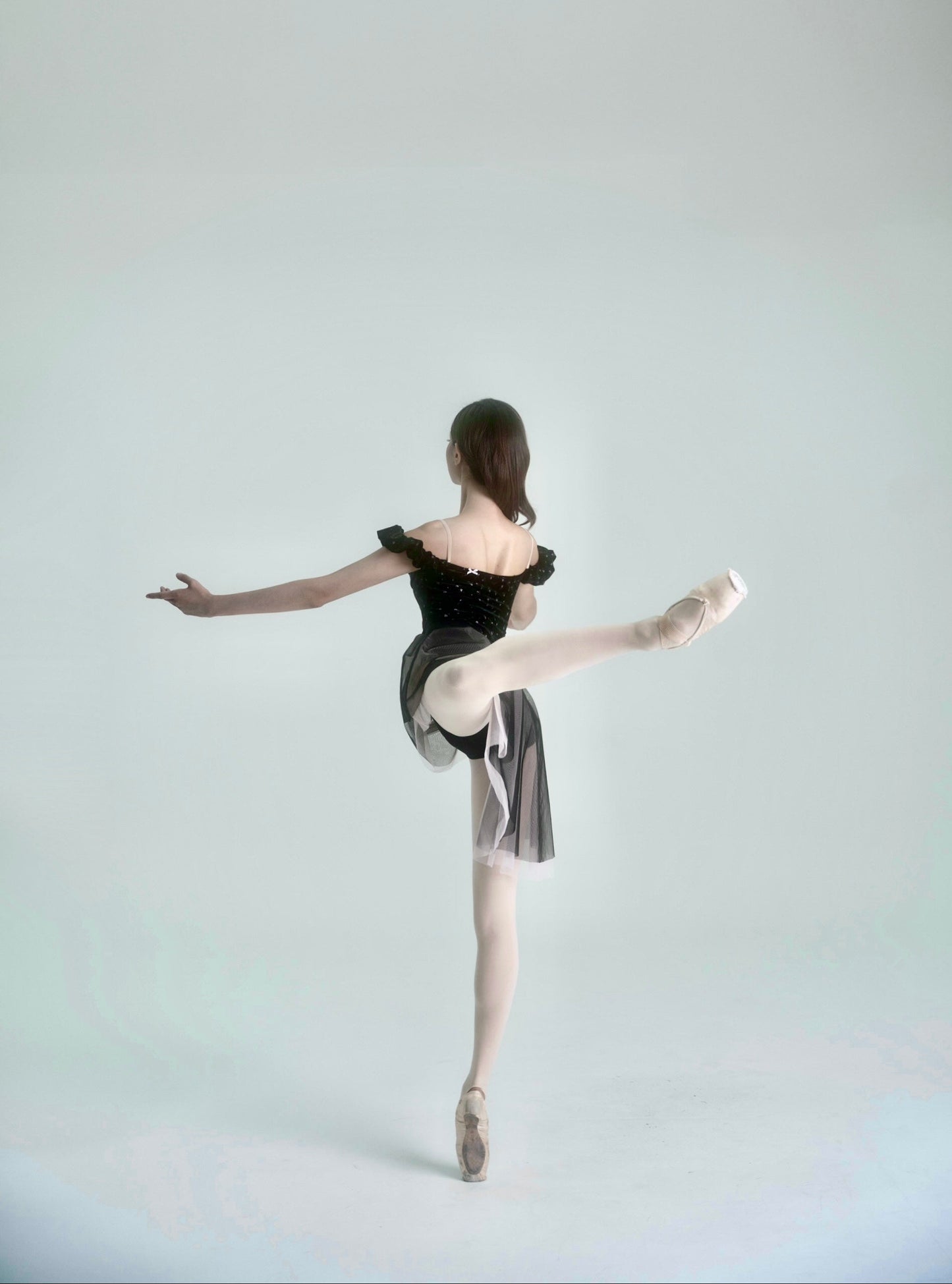 Garden Leotard [Ode on Tutu]