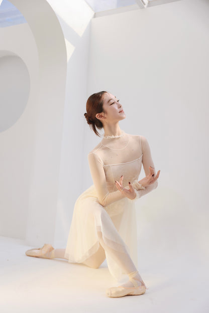 Butterfly Leotard [Ode on Tutu]