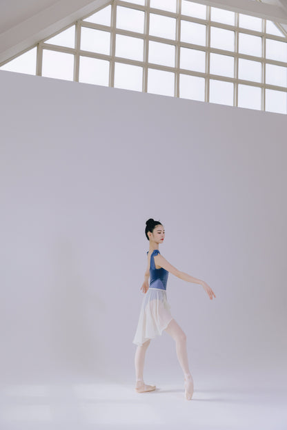 Vanilla Skirt [Ode on Tutu]