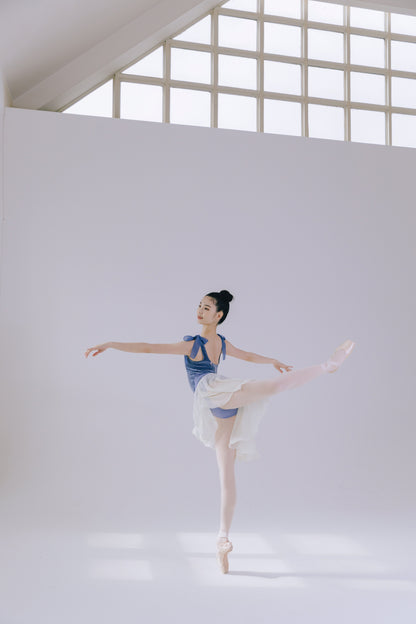 Vanilla Skirt [Ode on Tutu]