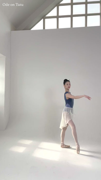 Vanilla Skirt [Ode on Tutu]