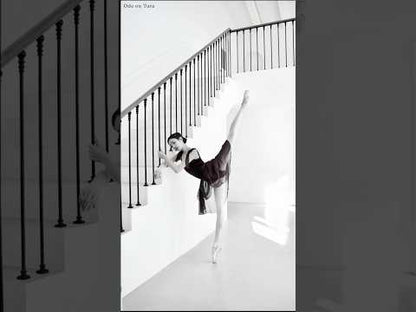 Garnet Leotard [Ode on Tutu]