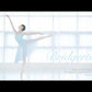 Daphne Leotard Navy [Ode on Tutu]