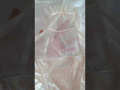 Butterfly Leotard [Ode on Tutu]