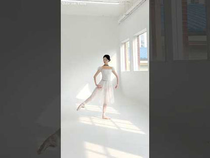 20% OFF Conservatoire Leotard [Ode on Tutu]