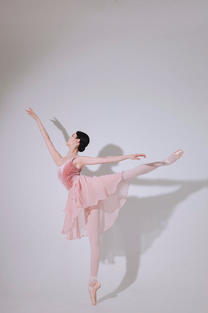 Rosé Leotard [Ode on Tutu]